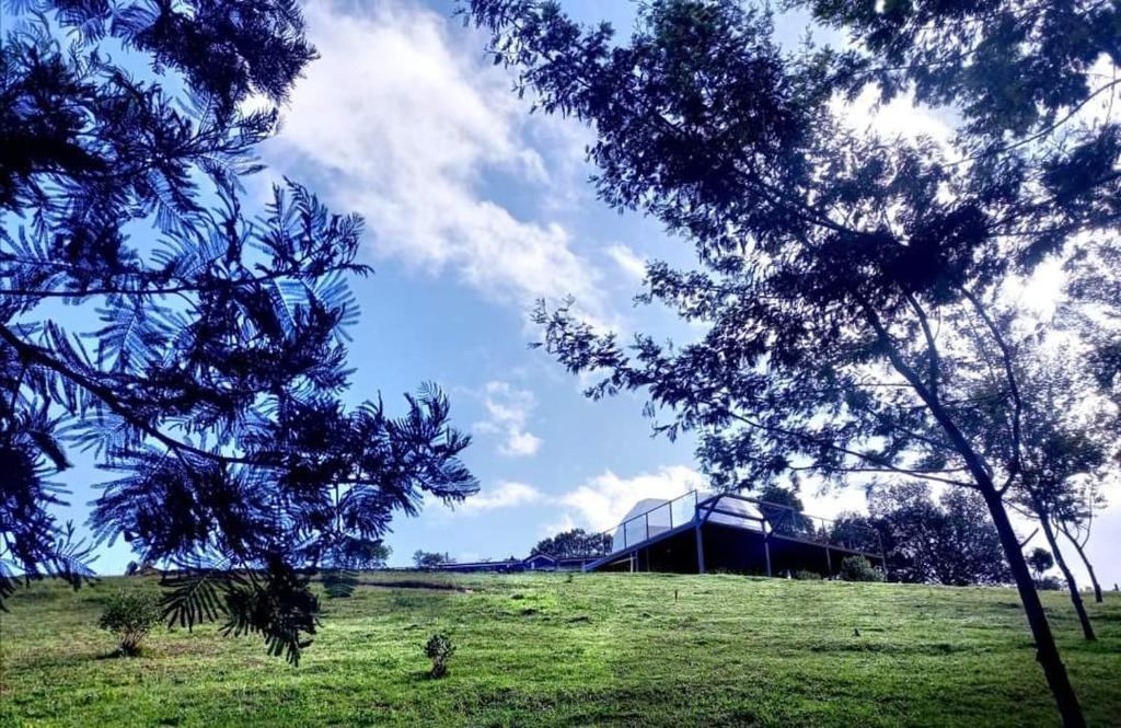 Glamping Altos De Hayuelos photo 4