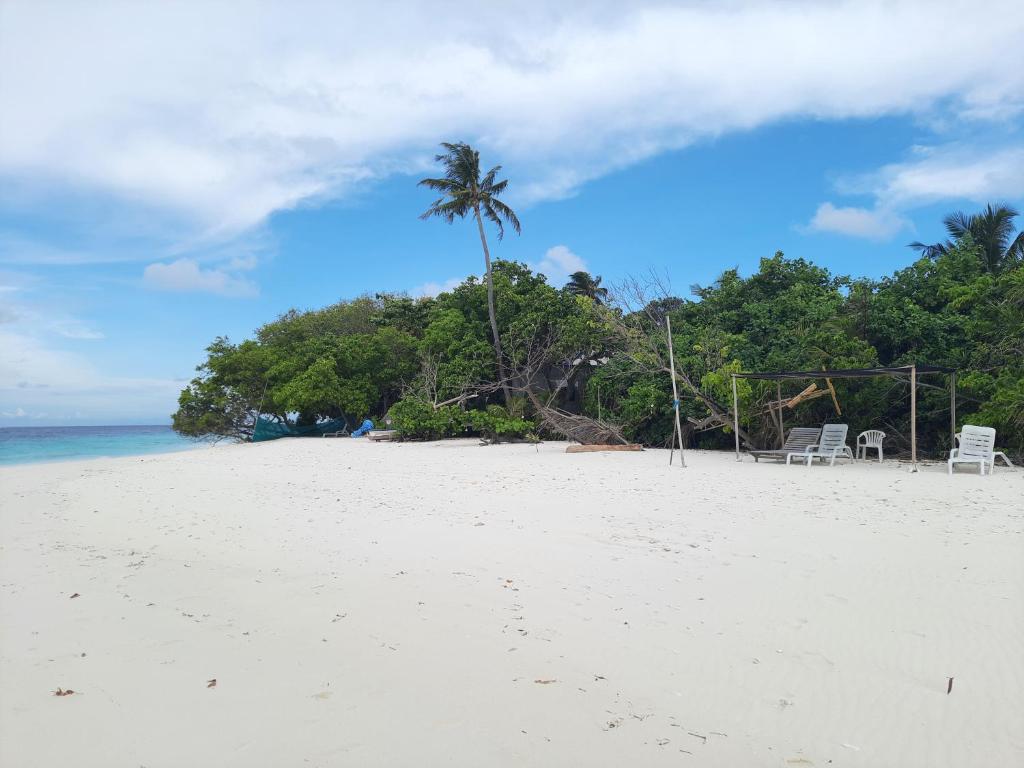 Dhooni Finolhu Guesthouse photo 4