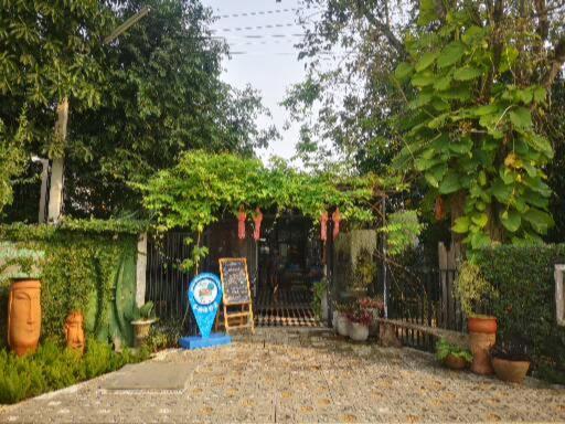 ป้าเฒ่าเฝ้าสวน photo 3