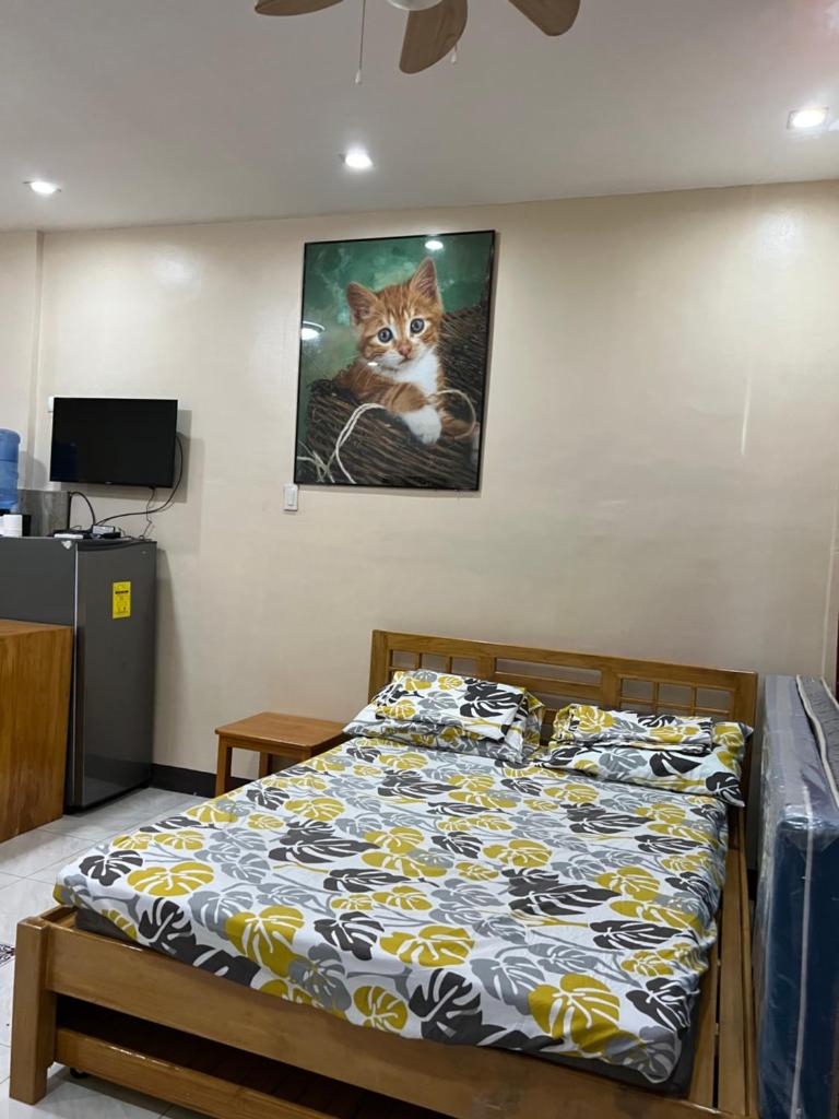 Albur Property Rentals