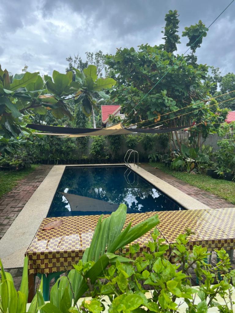 Albur Property Rentals photo 3
