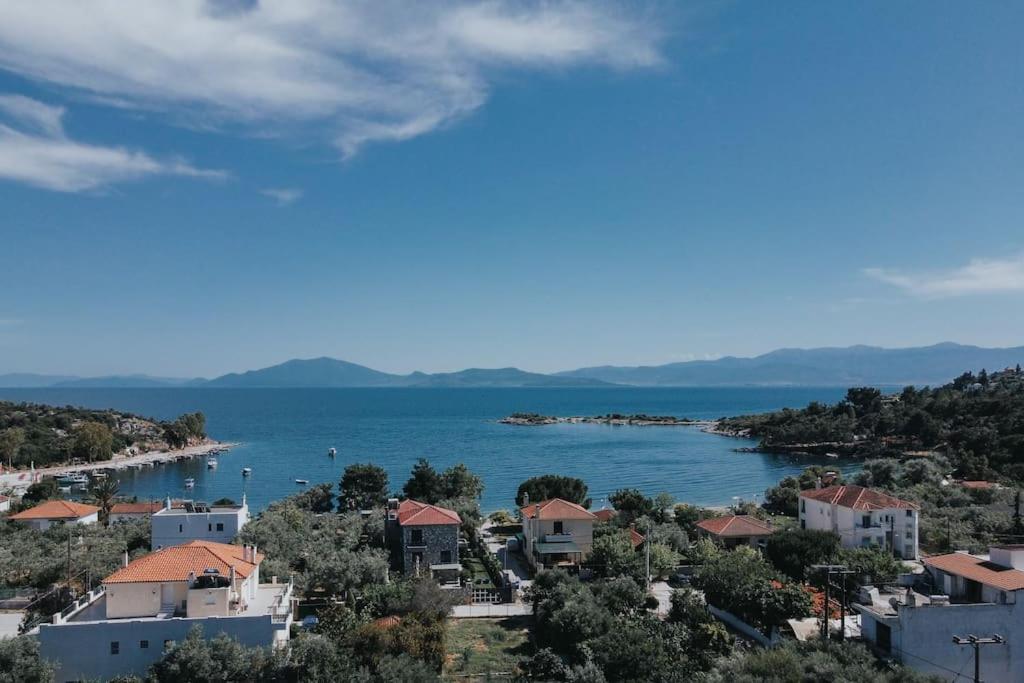 Olga's Home(Σπίτι με θέα δίπλα στην θάλασσα)