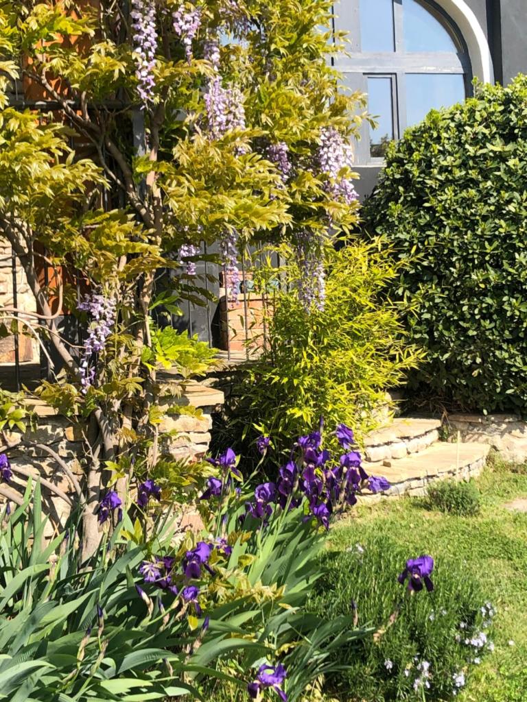 Number 10 Locanda B&B photo 1