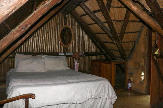 Yellowwood Forest Eco Retreat photo 3