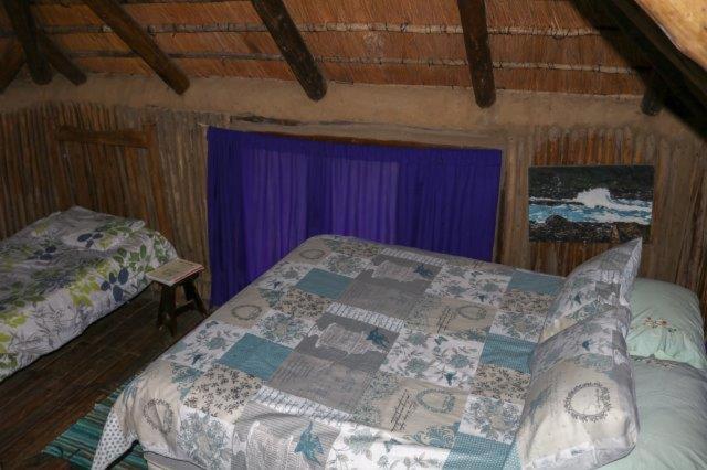 Yellowwood Forest Eco Retreat photo 1