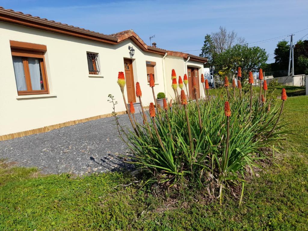 La belle maisonette photo 2