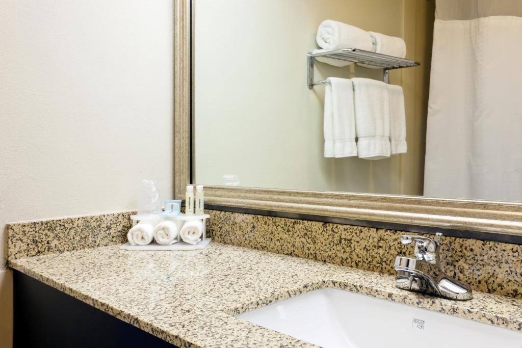 Holiday Inn Express Hotel & Suites Port Clinton-Catawba Island, an IHG Hotel photo 1