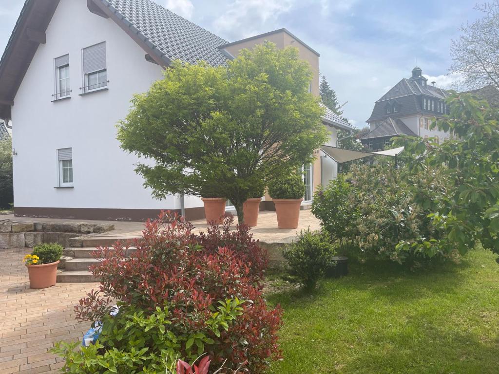 Villa Florentine photo 4