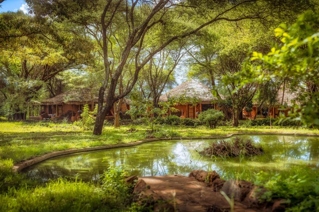 Amboseli Sopa Lodge photo 4