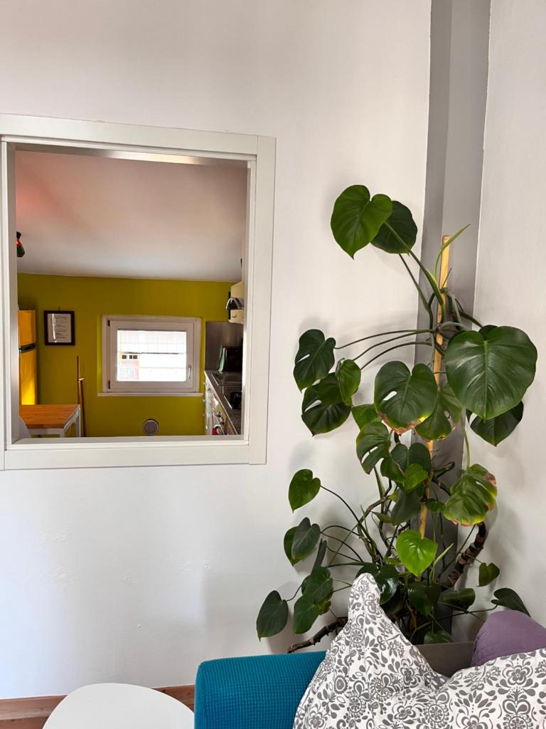 Casa all'Oca photo 1