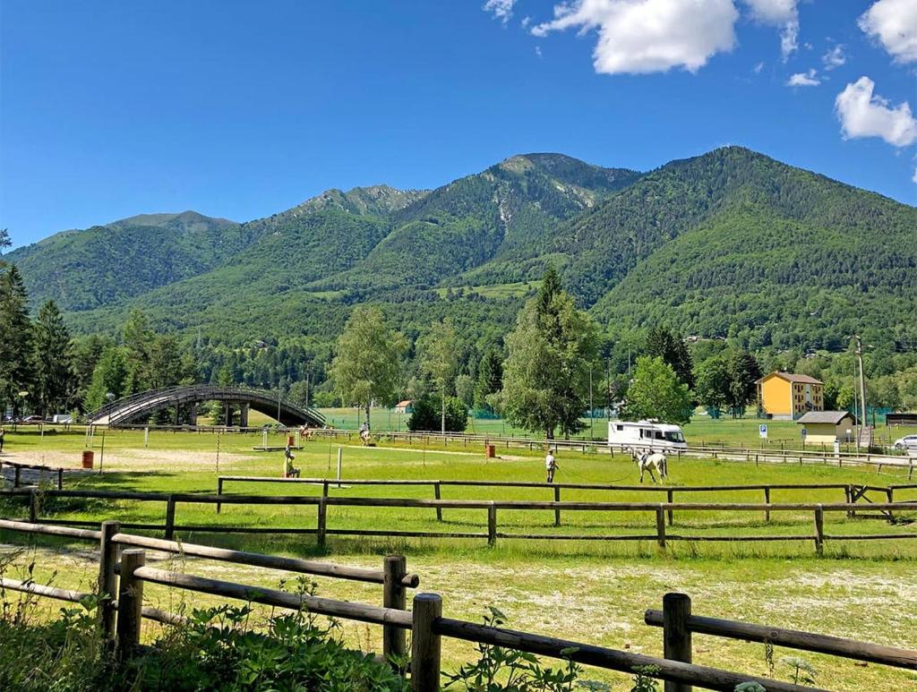 Camping la Pineta photo 2