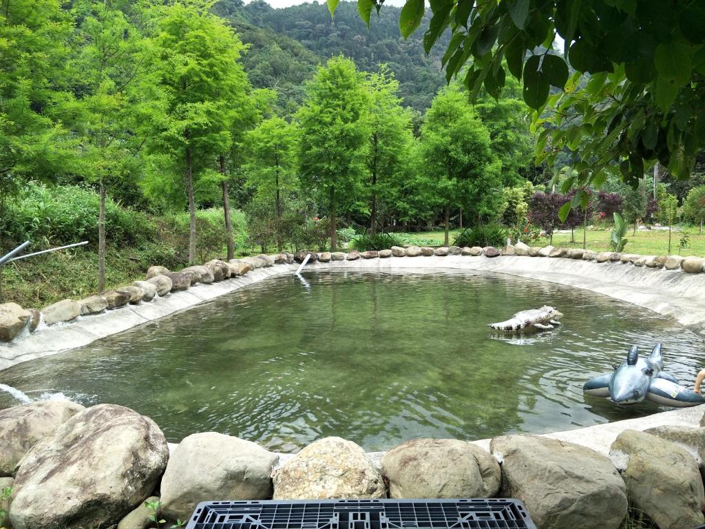 Traveller Mountain Spring Farm photo 1
