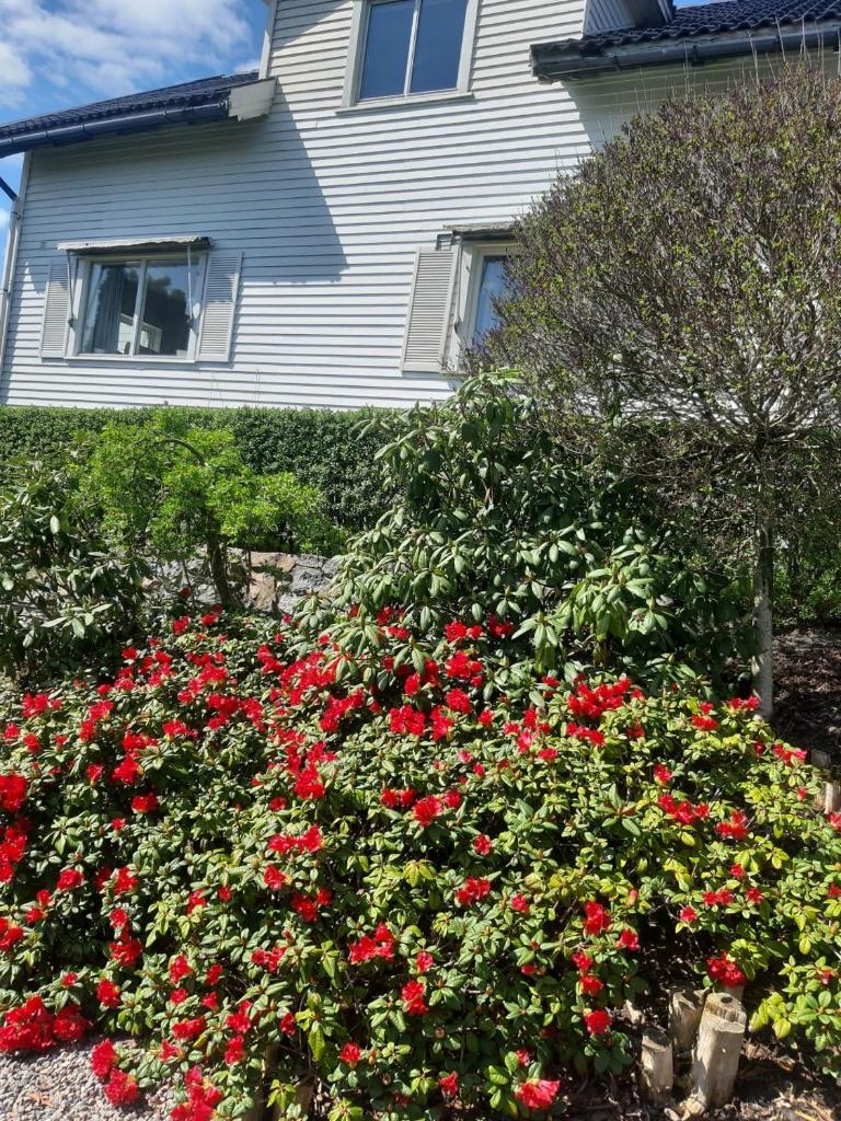 Gamle huset på landet photo 3