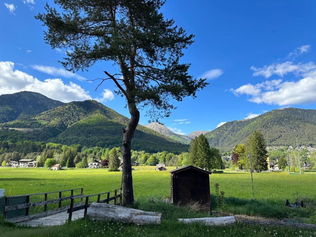 Camping la Pineta photo 1