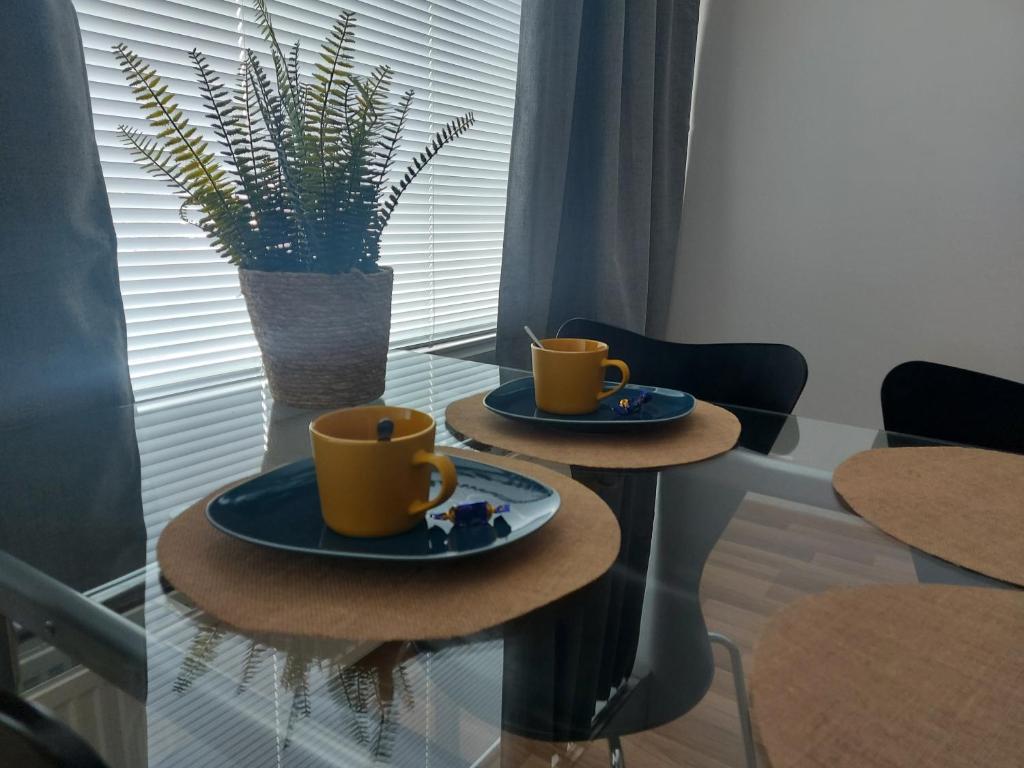 Viihtyisä yksiö keskustan lähettyvillä photo 3