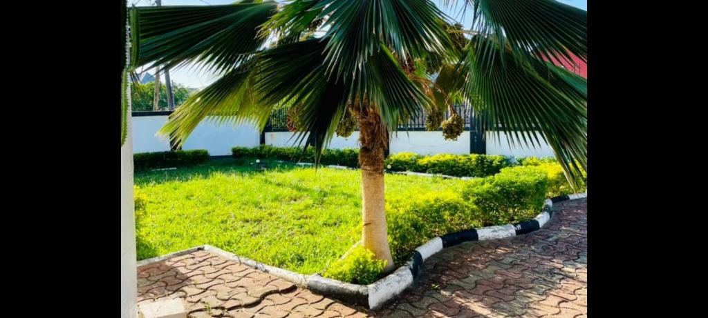 SALAAM LETTING (4 BEDROOM, ZANZIBAR HOUSE) photo 4