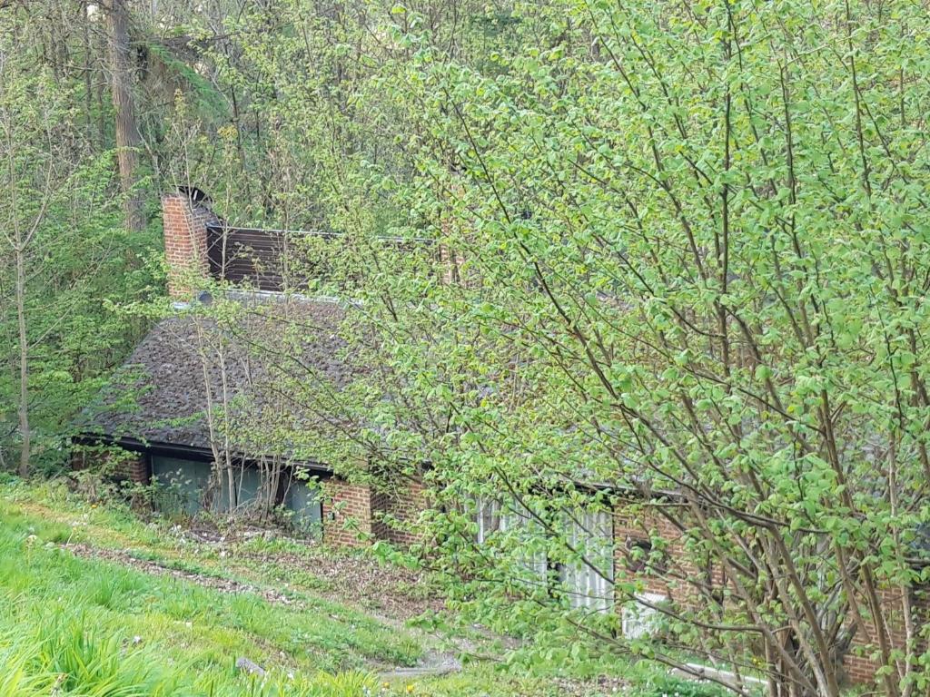Le Héron ( Gîte ) photo 3