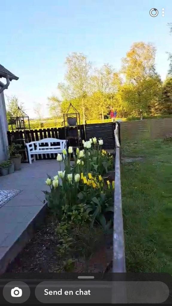 Hyggelig ferielejlighed i Harresø photo 2