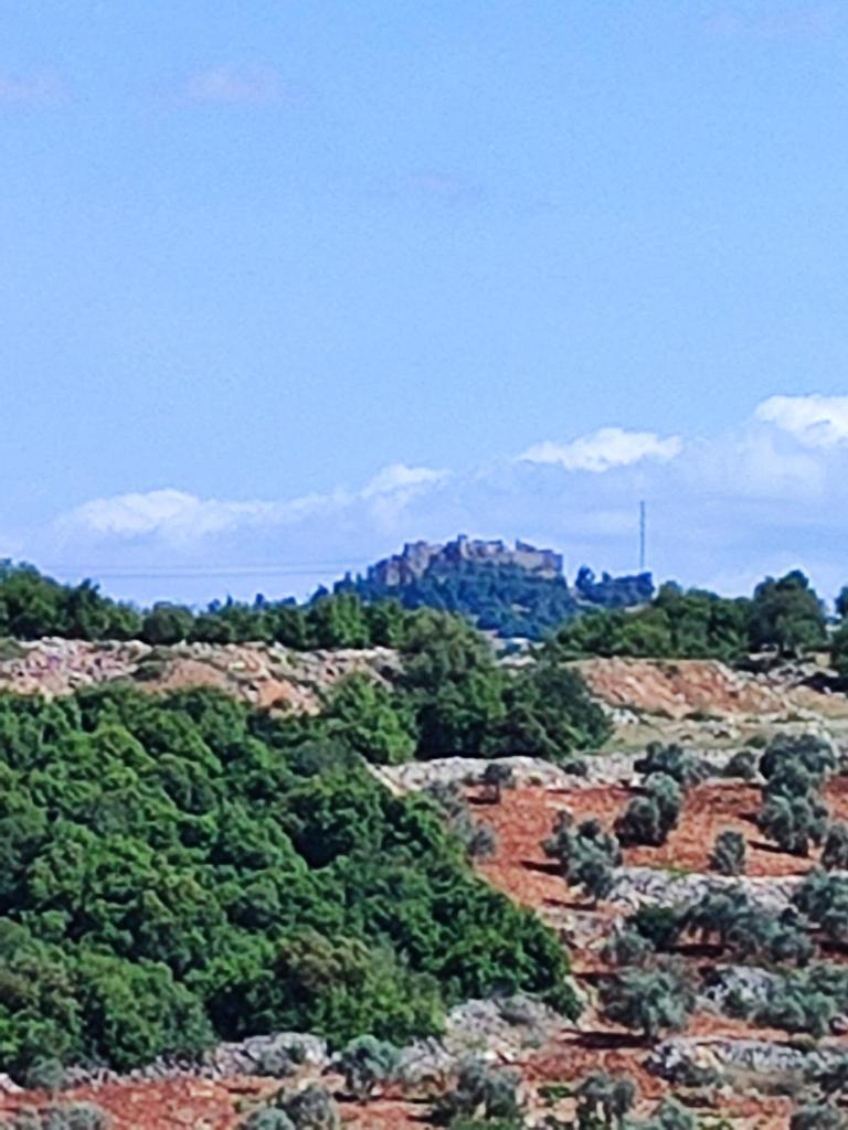 Chalets in the middle of Ajloun forests شاليه و مزرعة في وسط غابات عجلون photo 4