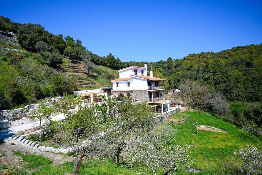 Villa Krio Pigadi photo 3