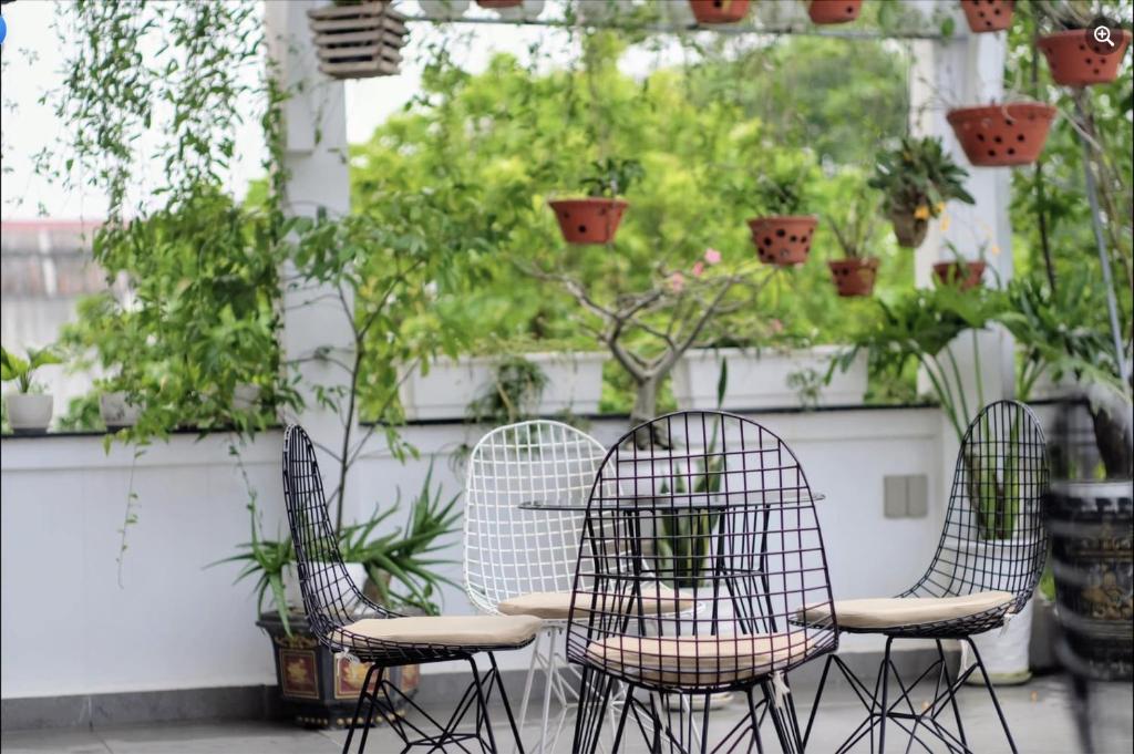 Homestay-Coffee Ngọc Linh