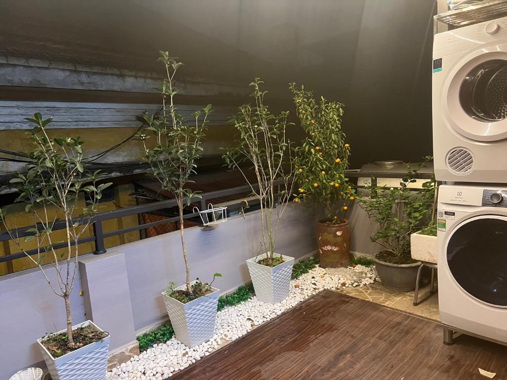 Sunflower Homestay Hai Phong