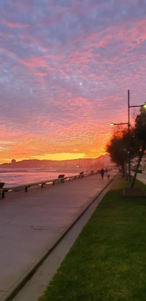 Mar Vista photo 3