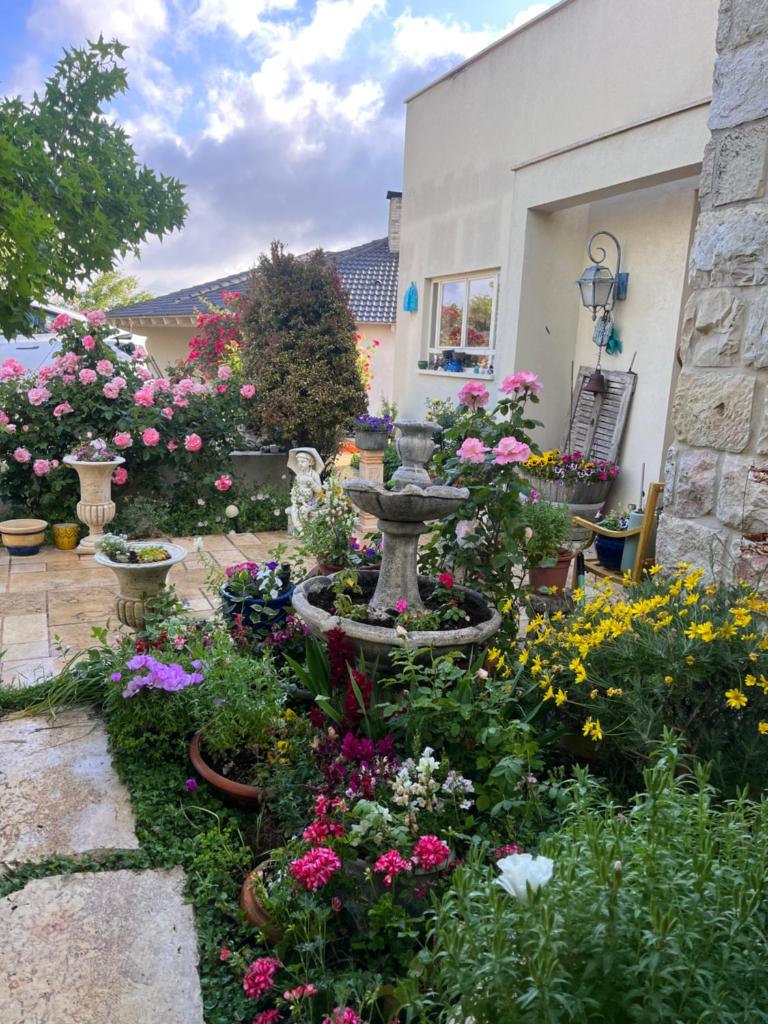 שלווה בהר photo 4