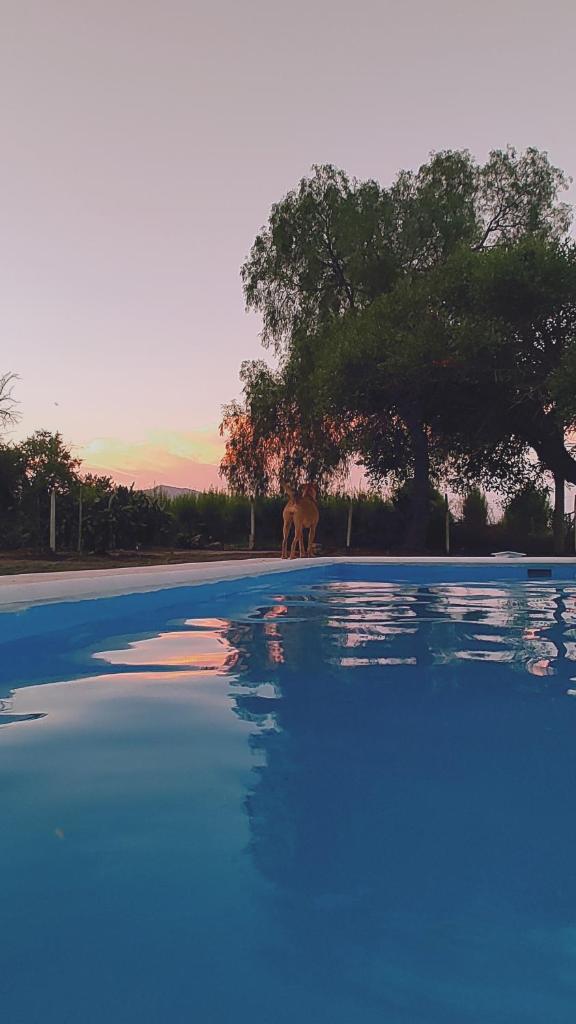Quinta Esencia photo 2