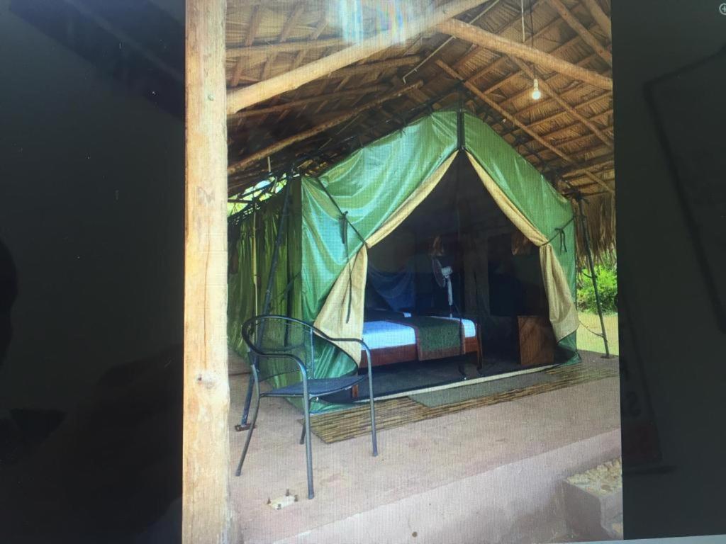 Forest Lodge Eco Camp photo 3
