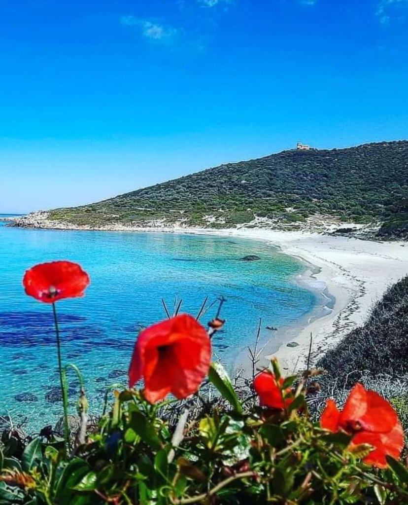 La Balagne ça nous gagne photo 1