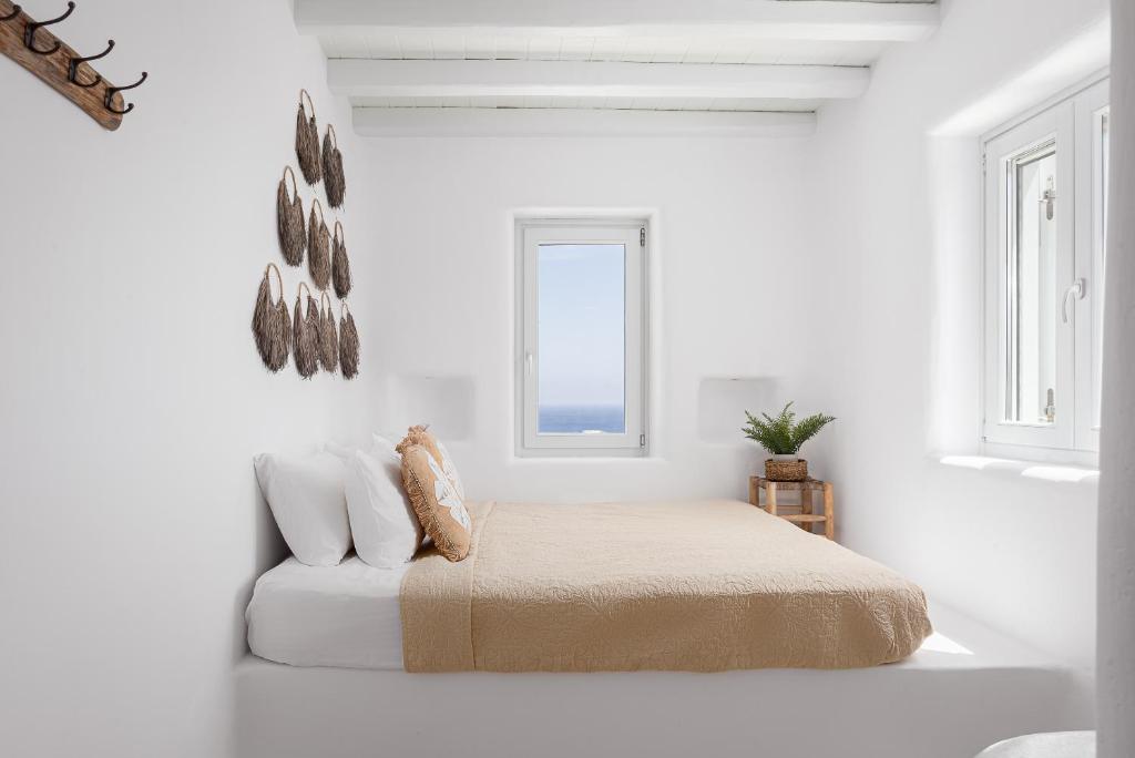 El Sueno Villa Mykonos photo 3