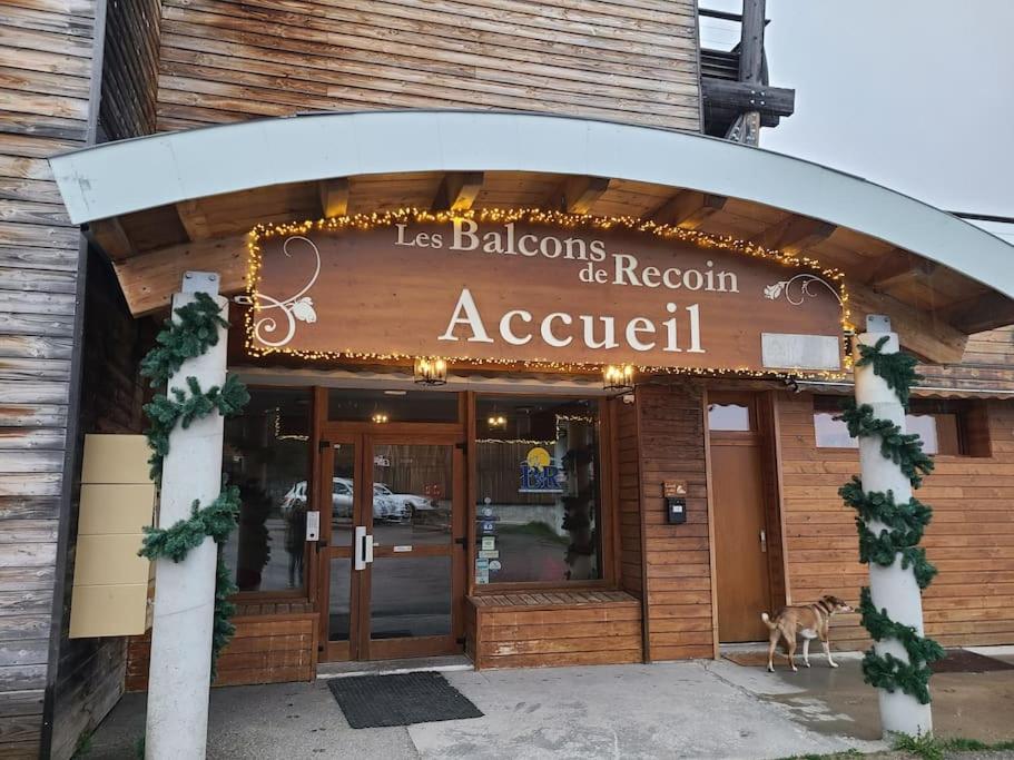 Grand appartement au pied des pistes !