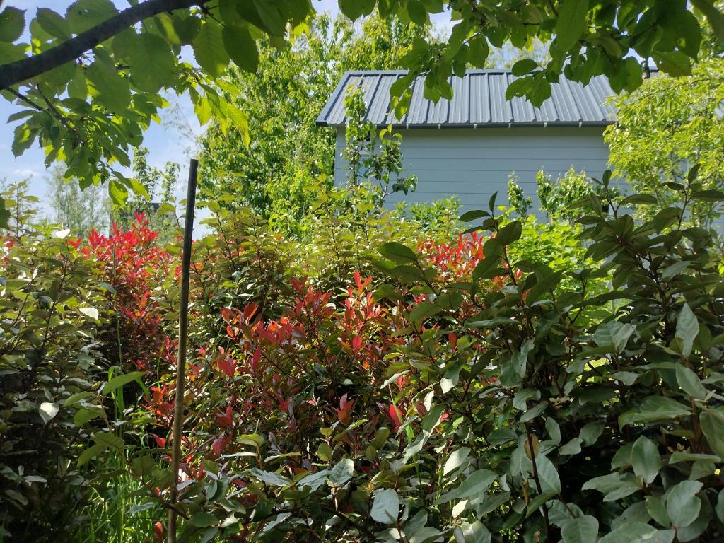 Tuinhuisje in het groen photo 4
