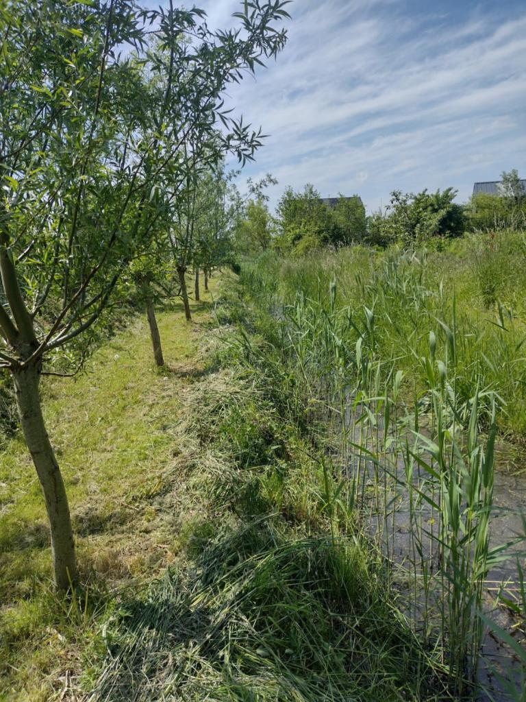 Tuinhuisje in het groen photo 2