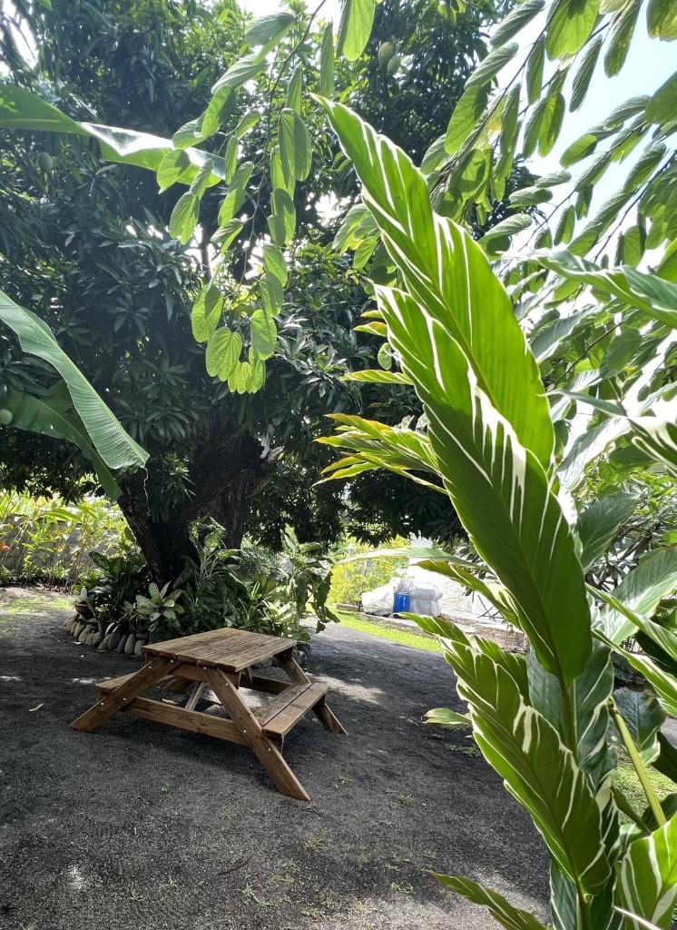 Pare LODGE TAHITI photo 1