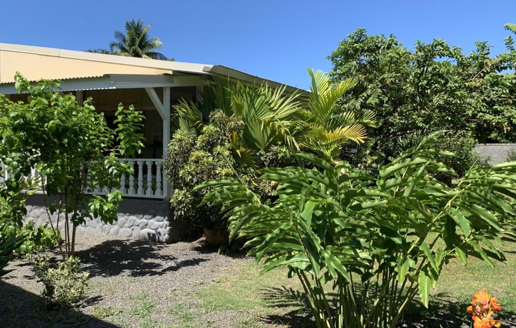 Pare LODGE TAHITI photo 3