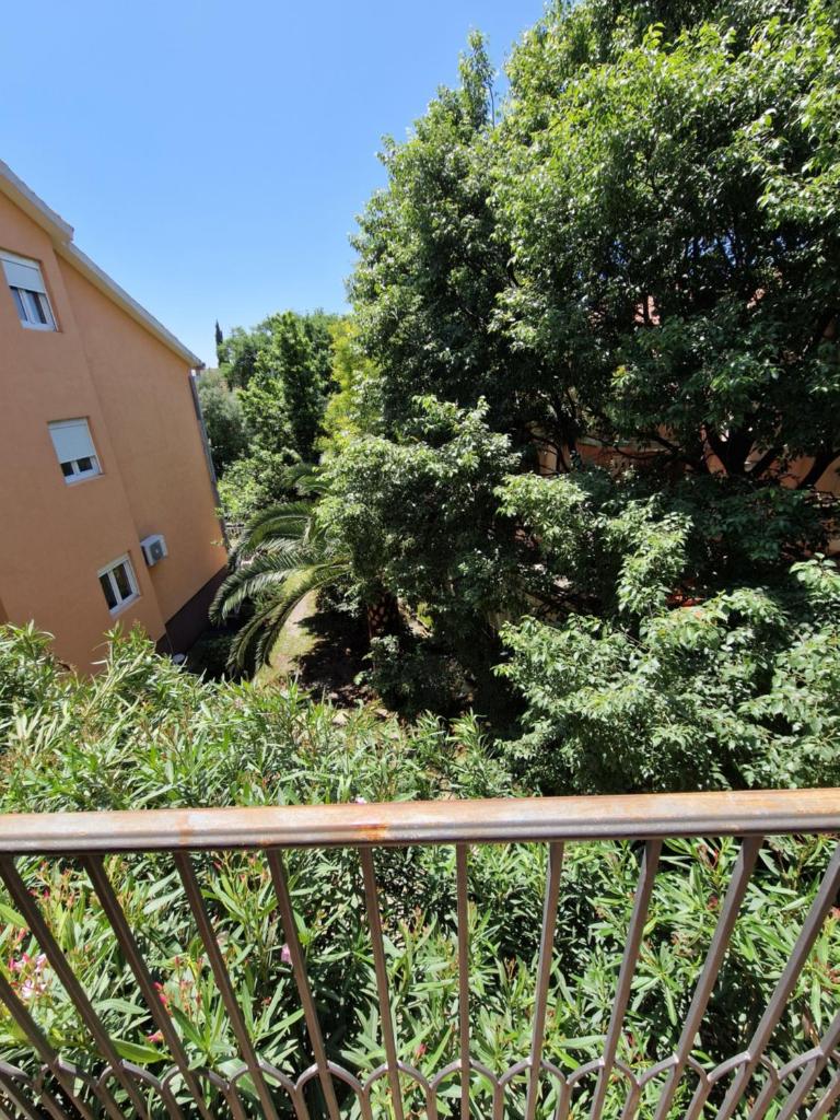 Guest House Damjana photo 2