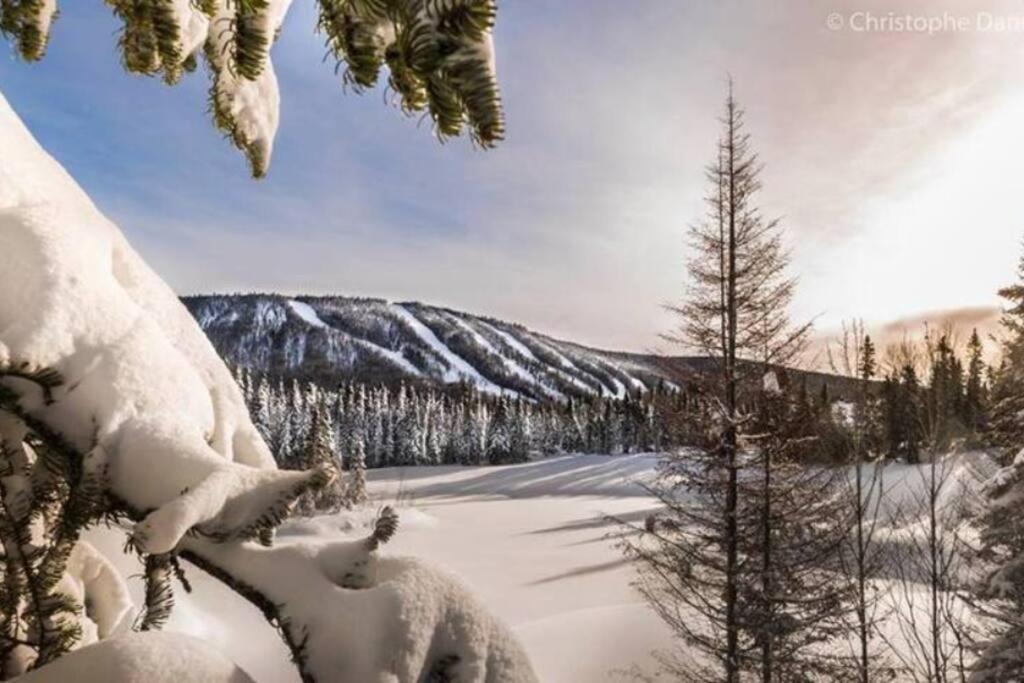 Chalet TIPI, Chic Charme & Nature photo 3