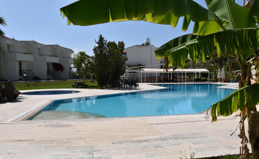 Villa Splash photo 2