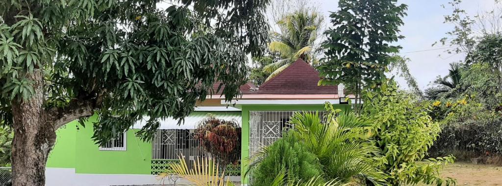 Quiet Cottage in Residential Area photo 3