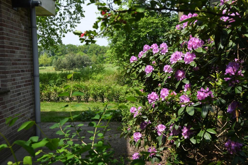 Boshuis Golfzicht "Wellness, Golf & Nature" photo 4