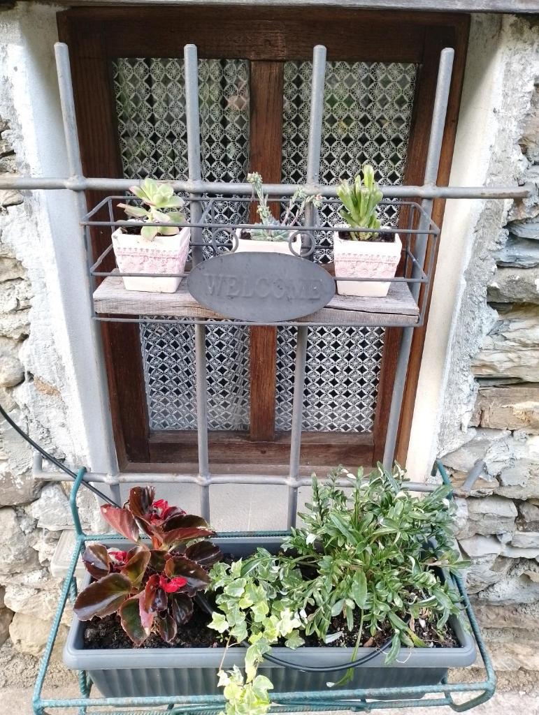 Casa Millin photo 1
