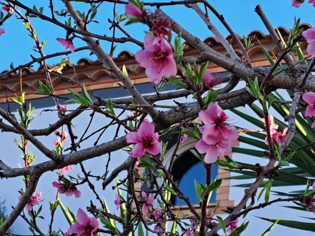 MAISON LES AGAPANTHES photo 3