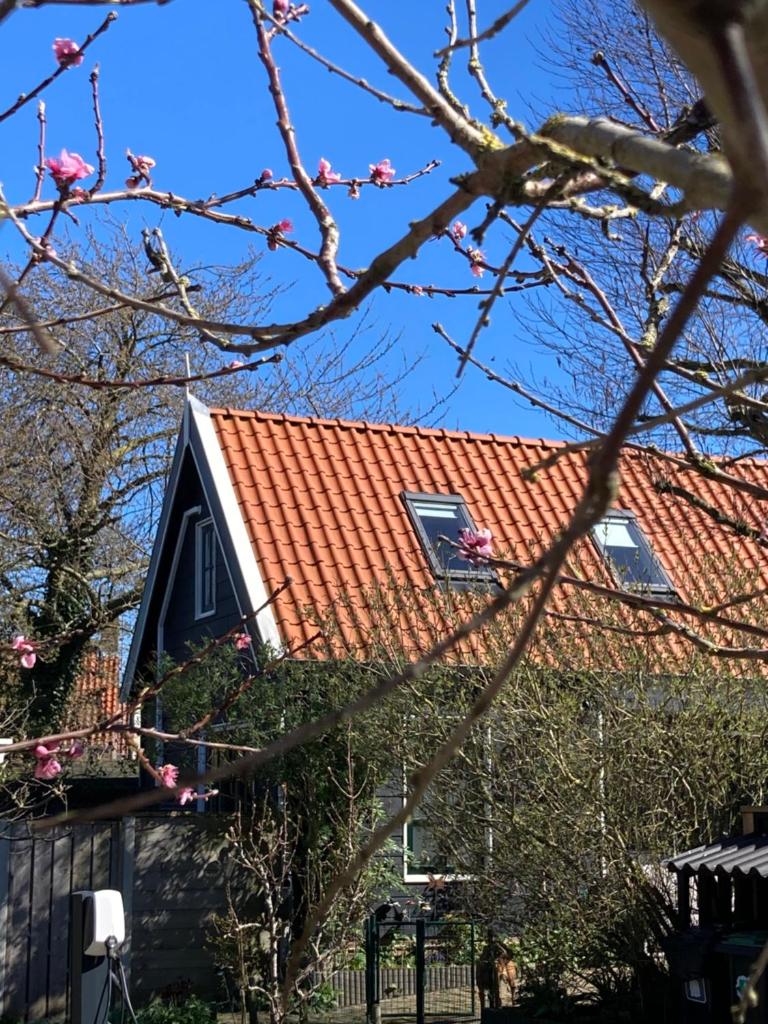 het zwaluwnest photo 1