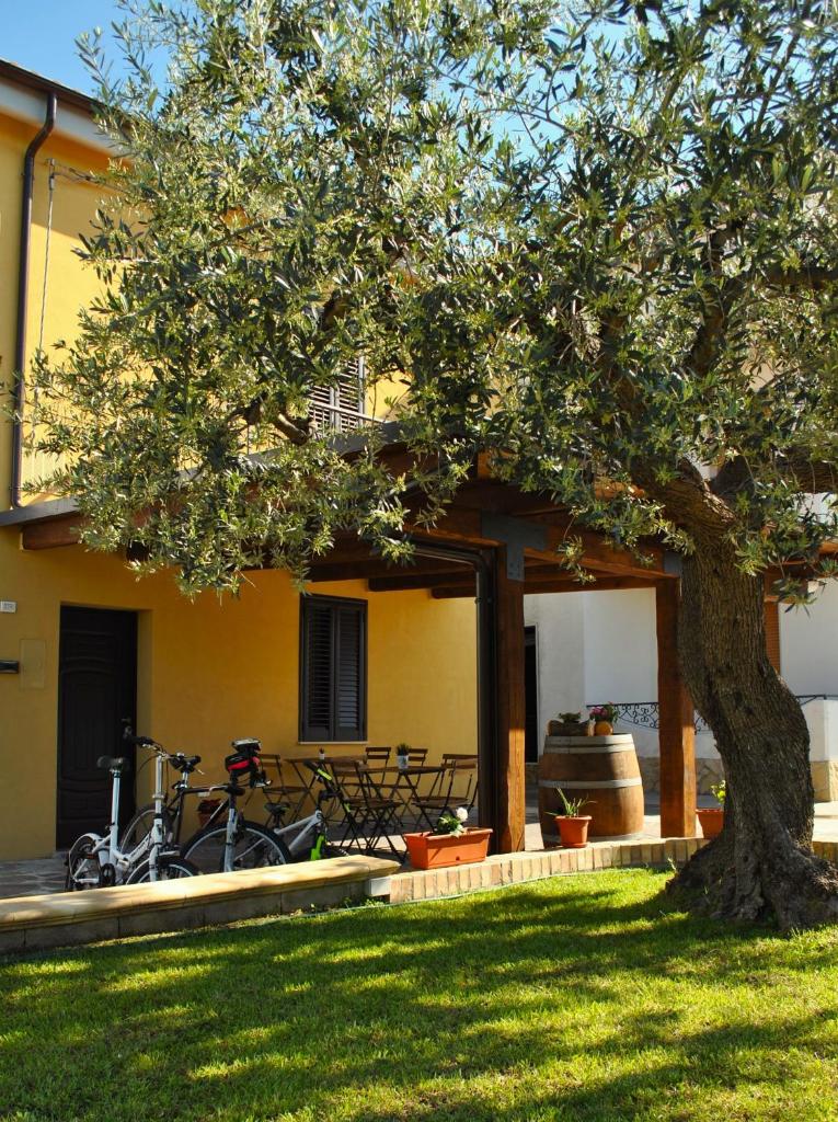 A casa dei nonni B&B photo 1