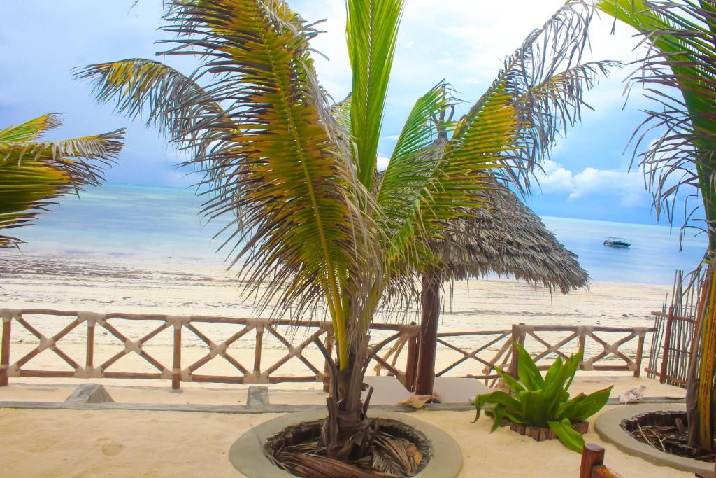 A Villa Sunshine house Zanzibar photo 2