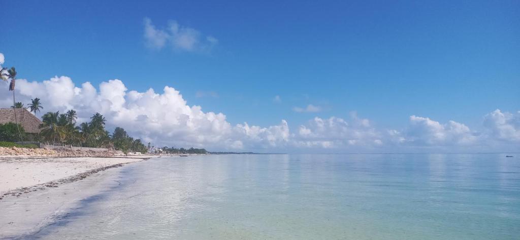 A Villa Sunshine house Zanzibar photo 1