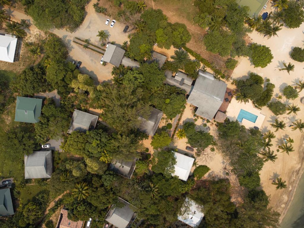 Tropical Breeze in Palmetto Bay photo 3