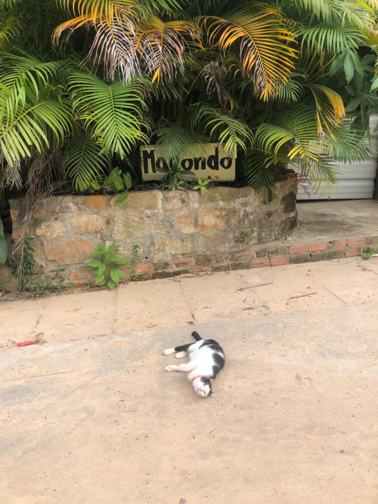 Macondo photo 3